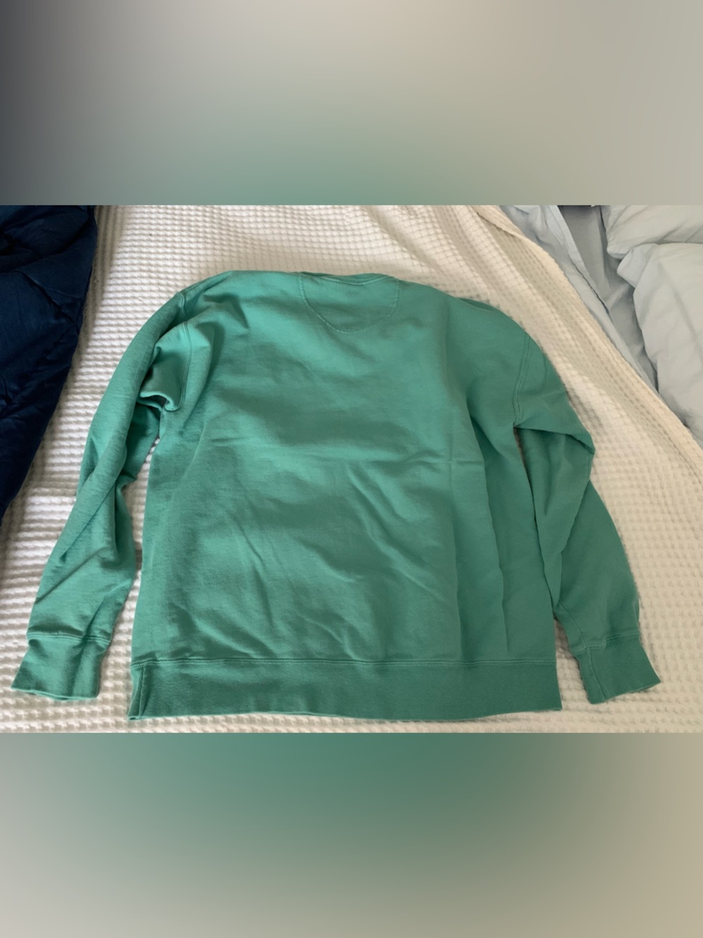 Georgia Aquarium Atlanta Printed Crewneck Sweatshirt Size Large - Picture 2 of 5